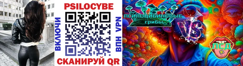 магазин  наркотиков  Белая Холуница  Галлюциногенные грибы GOLDEN TEACHER 